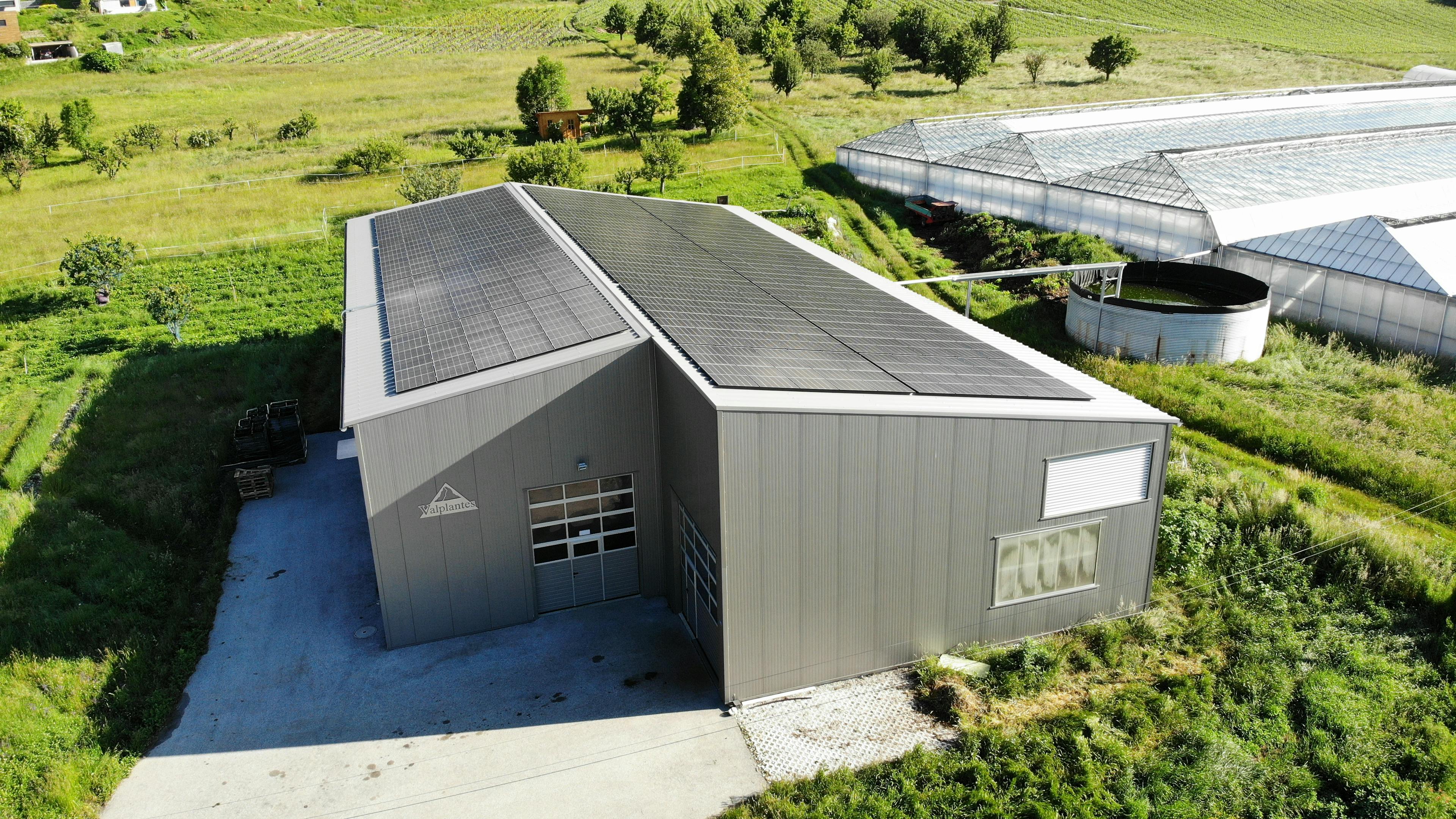 Des panneaux solaires recouvrent le toit du bâtiment de production de Valplantes, sur le site de Grimisuat (VS).